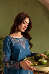 Sirius - 2Pc Embroidered Dress