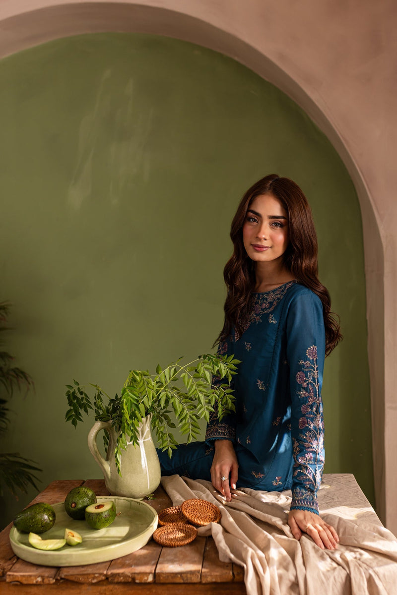 Sirius - 2Pc Embroidered Dress